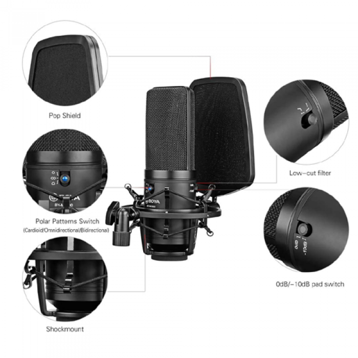 Professional large condenser microphone Rudy Online Store